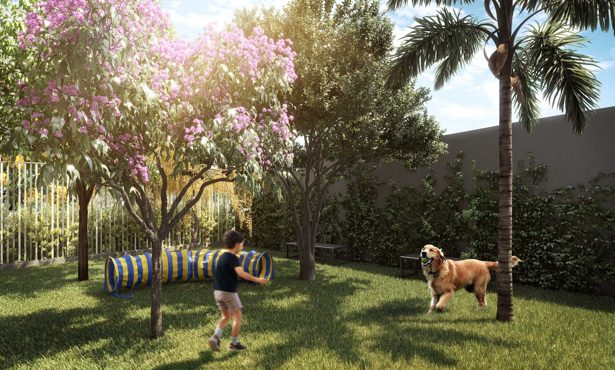 PERSPECTIVA ILUSTRADA DO PET PLACE