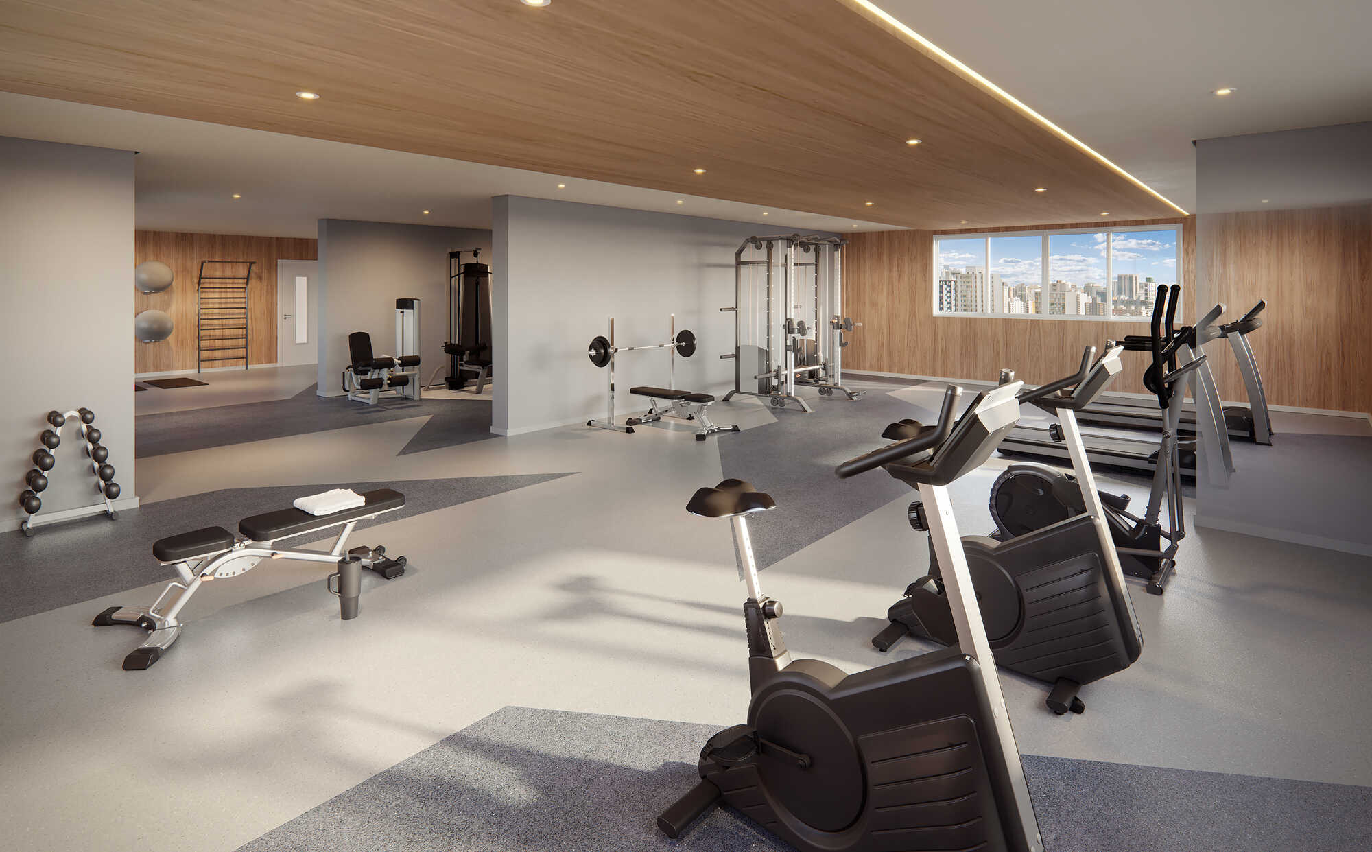 PERSPECTIVA ILUSTRADA DO FITNESS