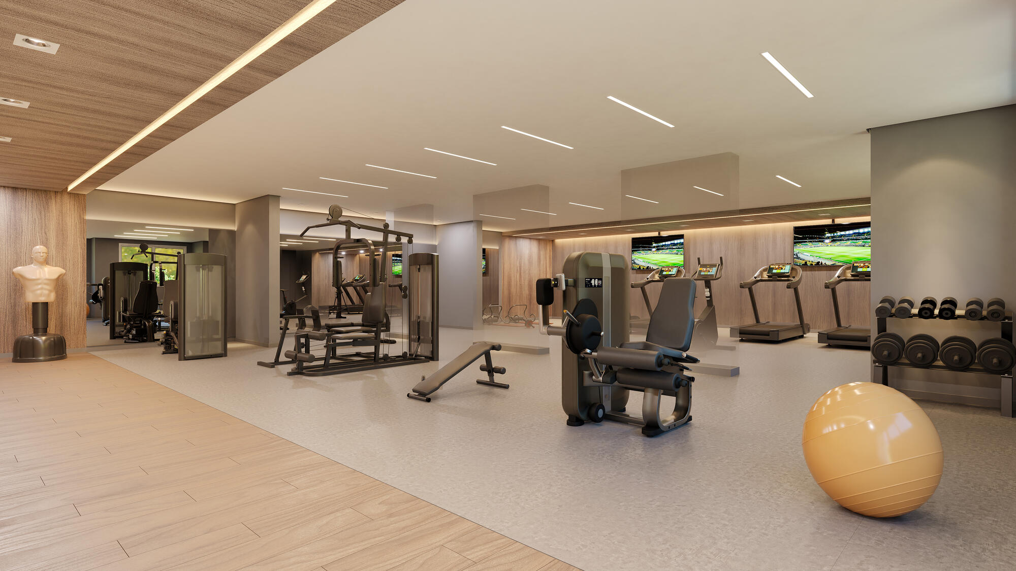PERSPECTIVA ARTÍSTICA DO FITNESS