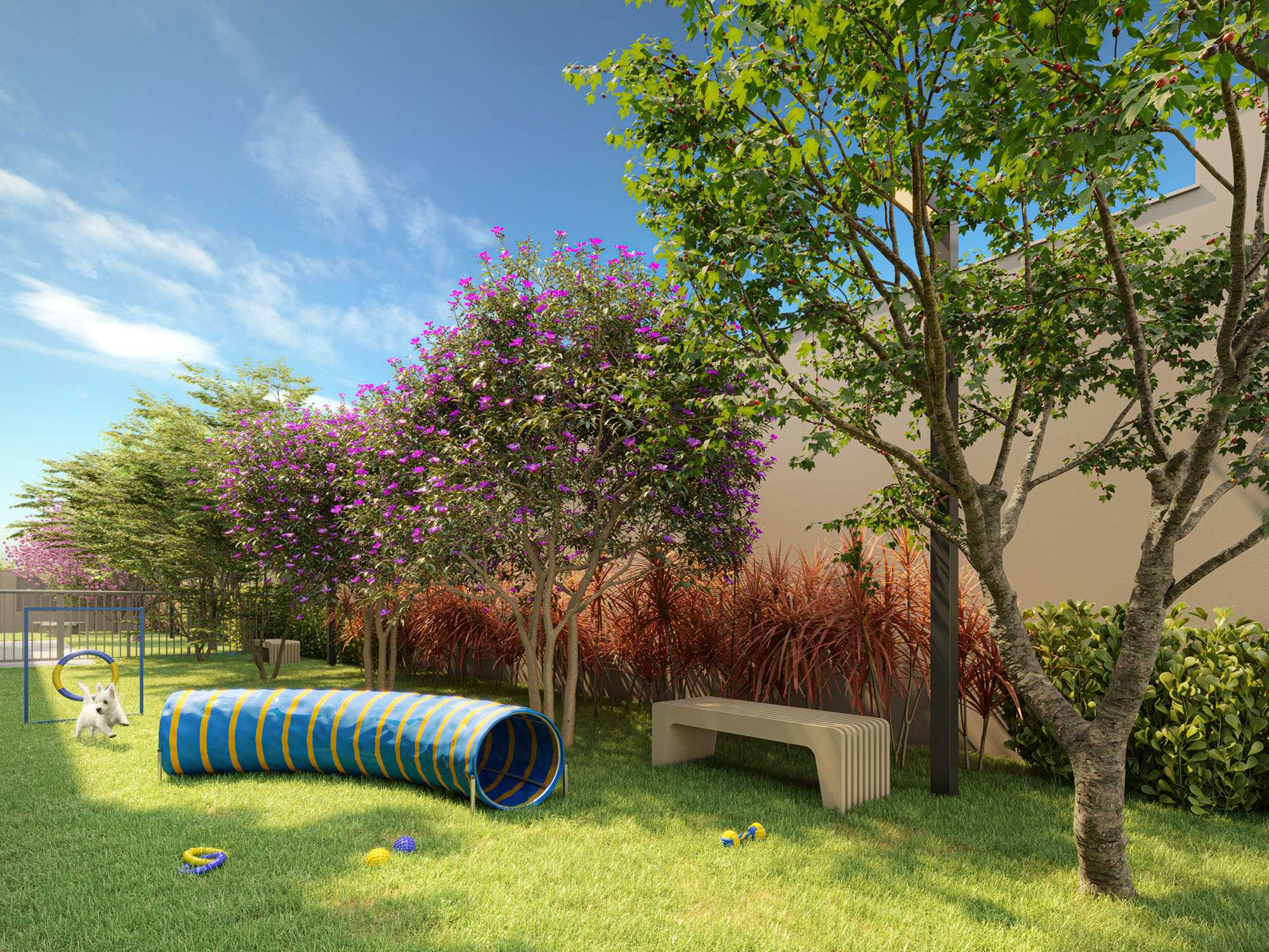 PERSPECTIVA ILUSTRADA DO PET PLACE