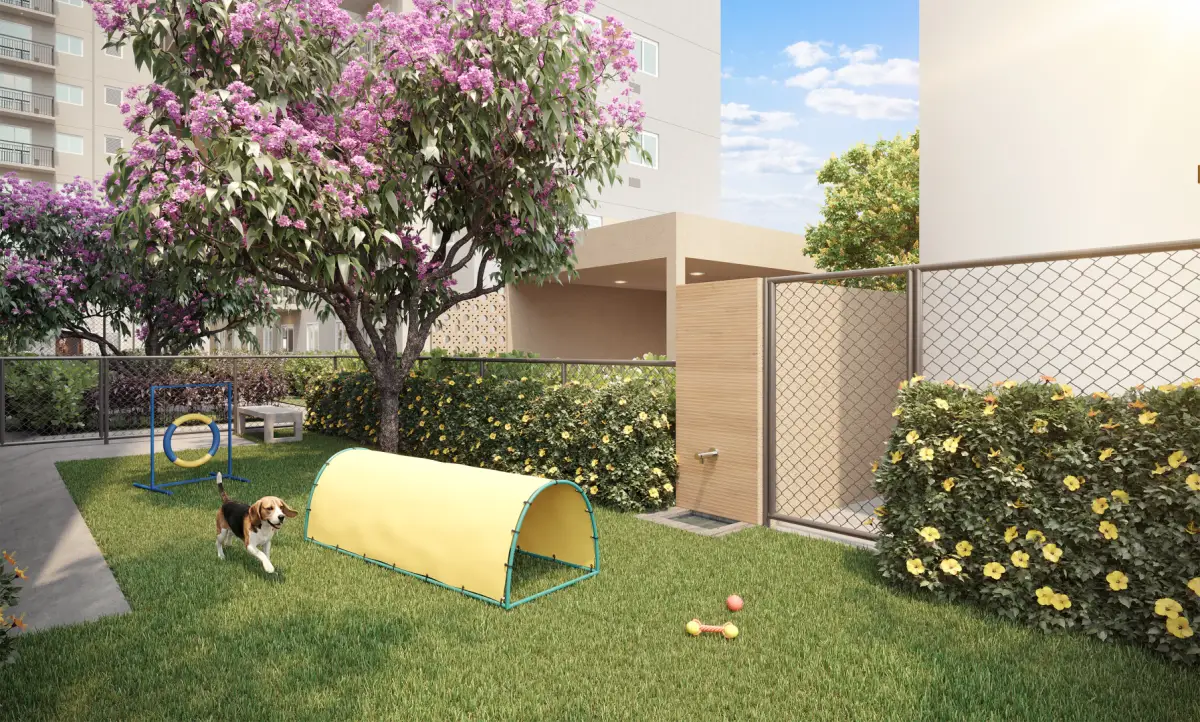 PERSPECTIVA ILUSTRADA DO PET PLACE